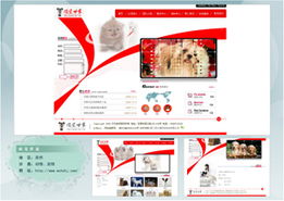 廈門易爾通網絡科技 區域營銷服務中心與網絡信息技術推廣服務