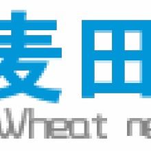 連接未來 解析鑫鋁麥田網絡工作室的網絡信息技術推廣服務